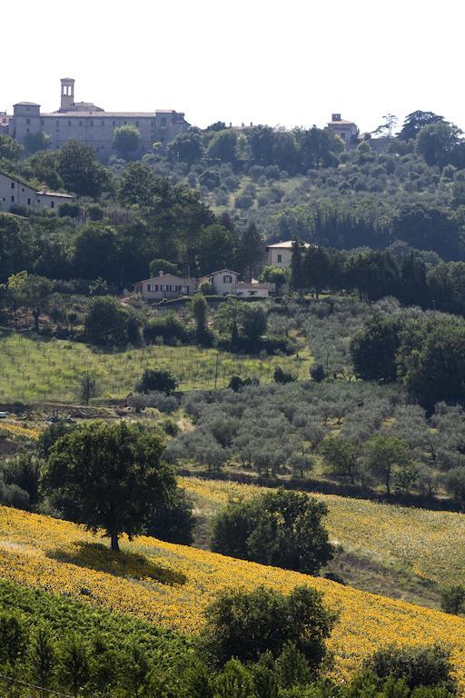 מונטפאלקו Agriturismo Il Girasole מראה חיצוני תמונה