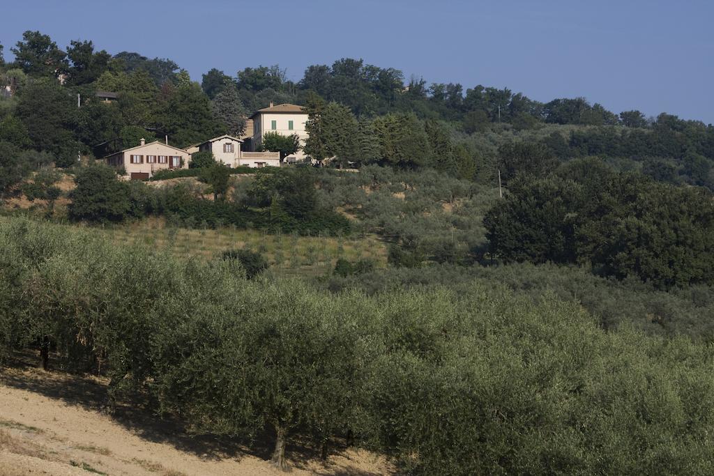 מונטפאלקו Agriturismo Il Girasole מראה חיצוני תמונה
