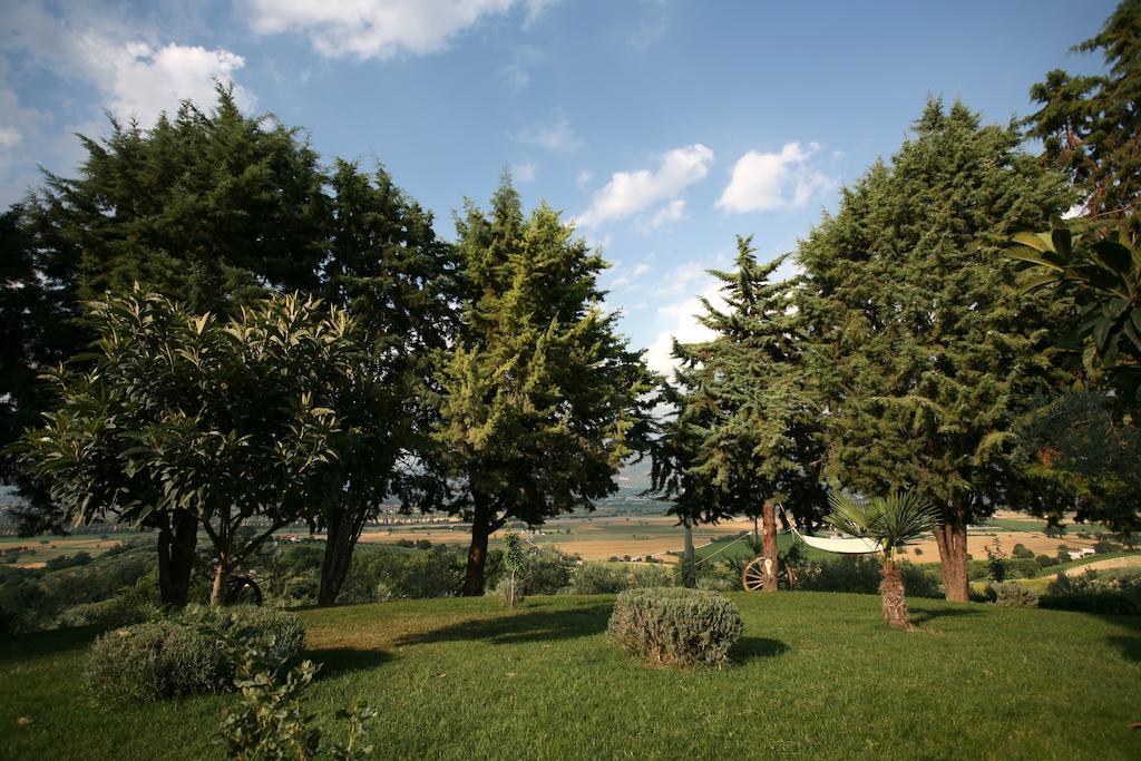 מונטפאלקו Agriturismo Il Girasole חדר תמונה