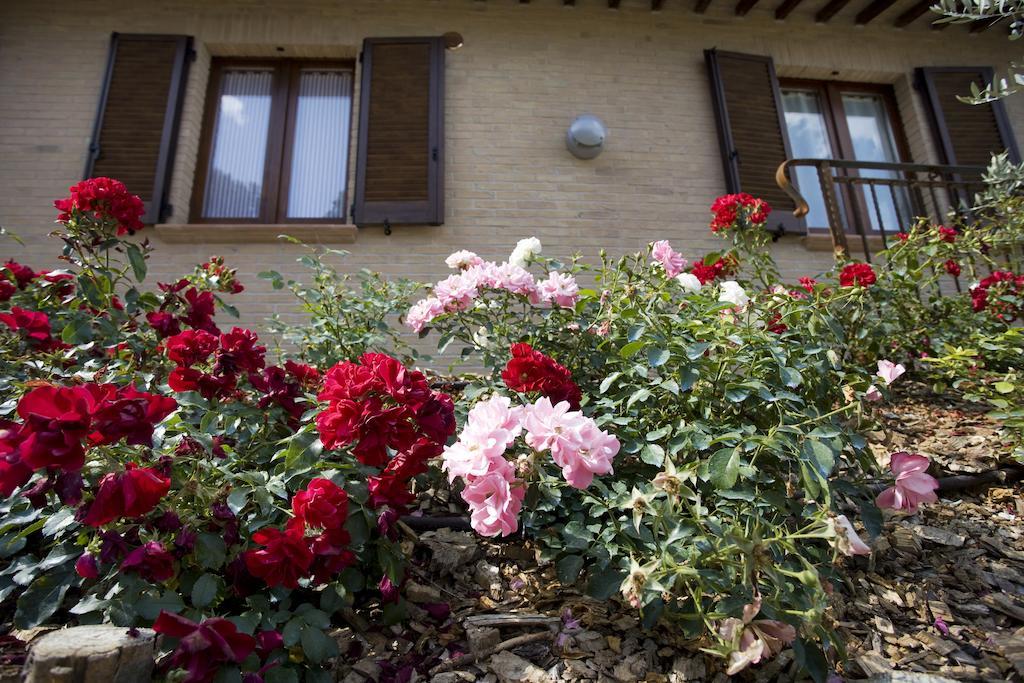 מונטפאלקו Agriturismo Il Girasole חדר תמונה