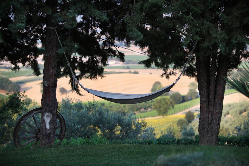 מונטפאלקו Agriturismo Il Girasole מראה חיצוני תמונה