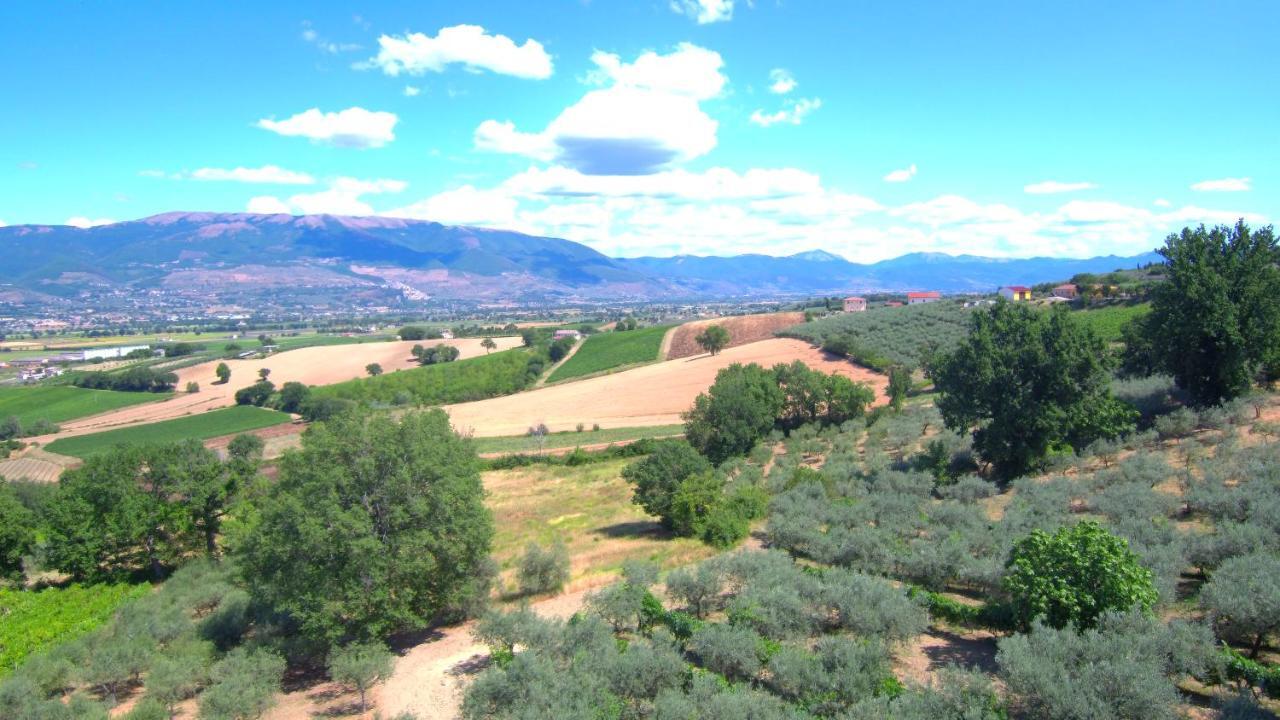 מונטפאלקו Agriturismo Il Girasole מראה חיצוני תמונה